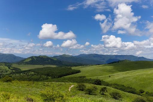 初夏の霧ヶ峰 車山高原 05 初夏の霧ヶ峰 車山高原 05の写真