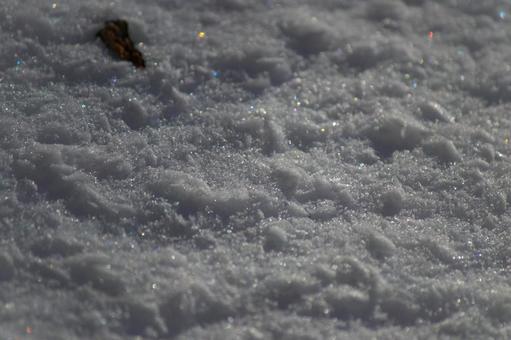 積雪とキラキラ③ 積雪とキラキラ③の写真