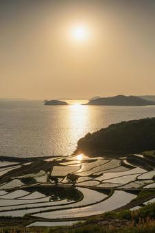 佐賀-【土谷棚田の夕景】 佐賀-【土谷棚田の夕景】 佐賀県,佐賀,松浦市の写真素材