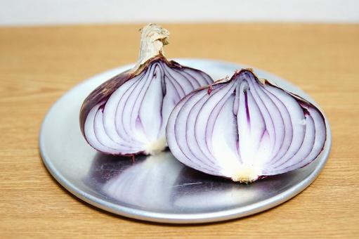 紫玉葱(寄り) 紫玉葱(寄り)の写真