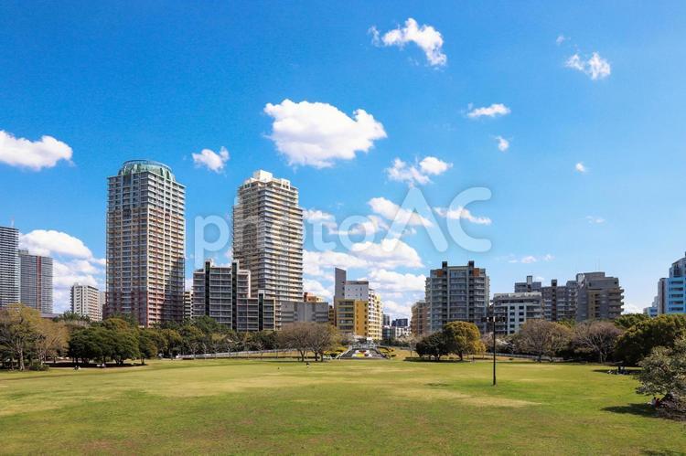 幕張海浜公園とマンション群 マンション,幕張,公園の写真素材
