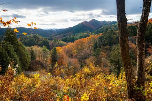 棚倉町五来山林道より山本地区の紅葉 棚倉町五来山林道より山本地区の紅葉 棚倉町,五来山,林道の写真素材