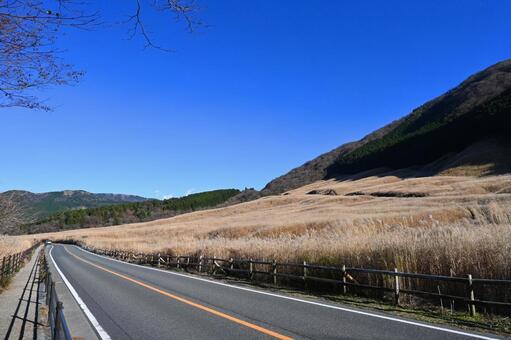 秋晴れの神奈川県箱根 仙石原すすき草原 仙石原すすき草原,神奈川県,足柄下郡の写真素材