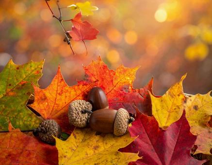 秋をイメージした背景の写真