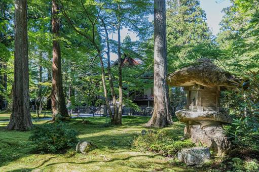 京都 大原三千院 往生極楽院 京都 大原三千院 往生極楽院 三千院,門跡寺院,大原の写真素材