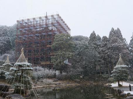 瑠璃光寺五重塔 令和の大改修中 瑠璃光寺五重塔 令和の大改修中の写真