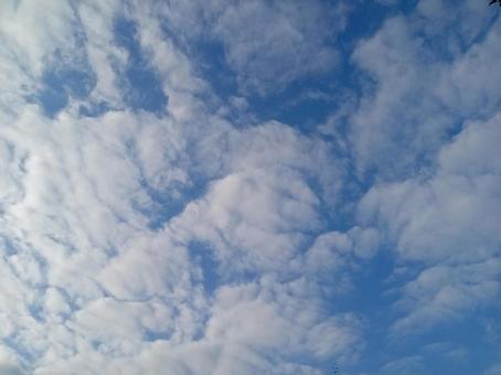 10月の空 10月の空 雲,青空,風景の写真素材