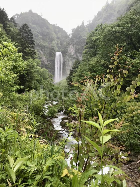 平湯大滝　遠景　縦 景色,滝,夏の写真素材