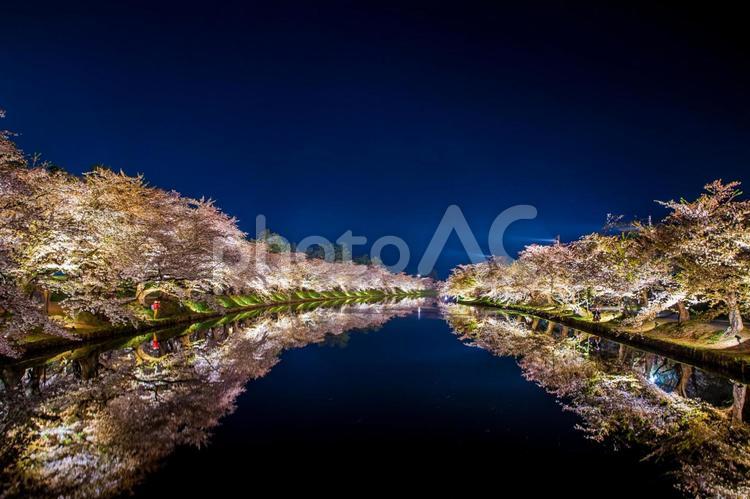 青森県　 弘前城桜祭り・夜桜 弘前城,桜,ソメイヨシノの写真素材