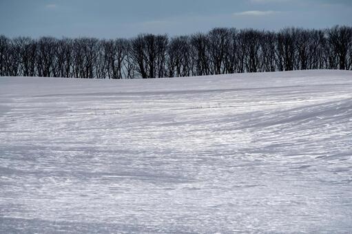 光と影のドラマチックな雪面が際立つ冬の丘 雪景色,樹林,陰影の写真素材