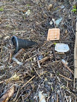 Garbage dumped on the beach, JPG