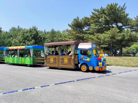 ひたち海浜公園シーサイドトレイン 青 ひたち海浜公園シーサイドトレイン 青の写真