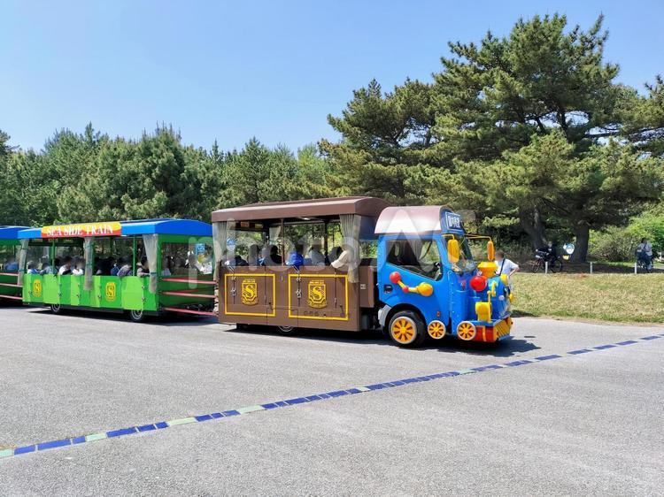 ひたち海浜公園シーサイドトレイン　青 シーサイドトレイン,国営ひたち海浜公園,パークトレインの写真素材