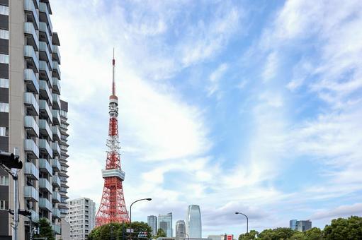東京タワー 東京タワーの写真
