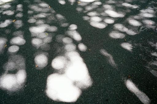 アスファルトに映る木漏れ日 アスファルトに映る木漏れ日の写真