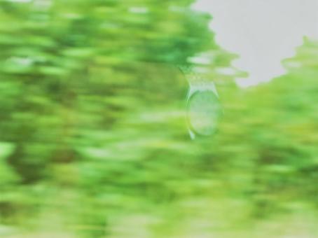 林の中を走るイメージ 林の中を走るイメージの写真