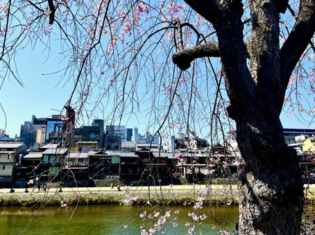 京都 京都の写真
