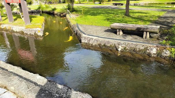 大堰公園(山形県金山町) 大堰公園(山形県金山町)の写真