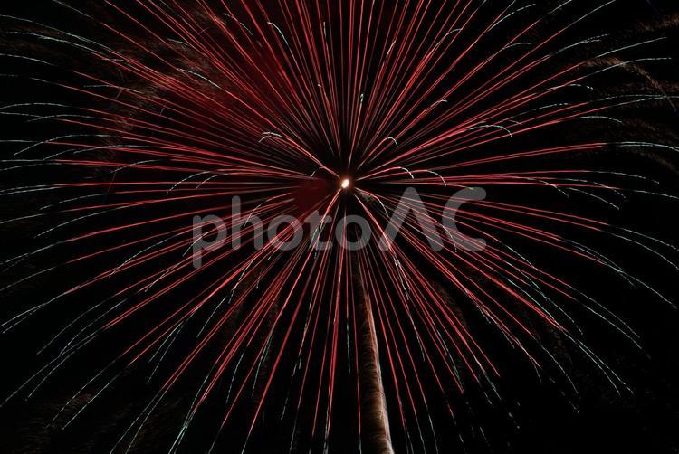 夏の夜を彩る打ち上げ花火 打ち上げ花火,花火,夏の写真素材