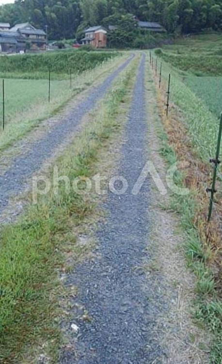 田舎の風景 古民家へ向かう砂利道の農道 田舎,風景,古民家の写真素材
