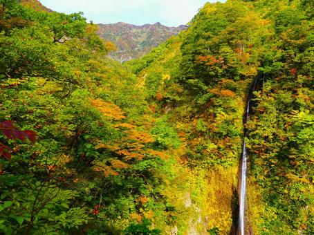 紅葉の布引の滝（守門岳） 布引の滝,滝,川の写真素材
