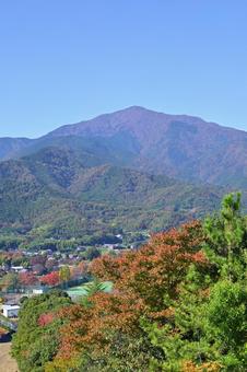 大山 大山,丹沢,紅葉の写真素材
