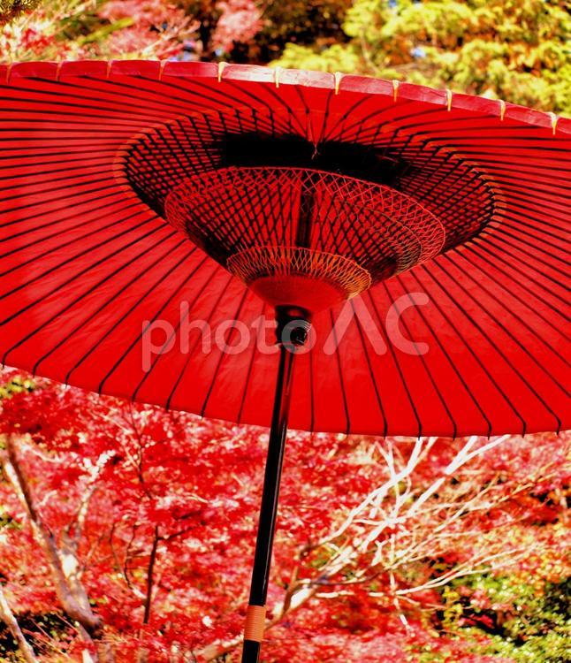 京都の秋、蛇の目傘と秋の紅葉 京都,秋,紅葉の写真素材