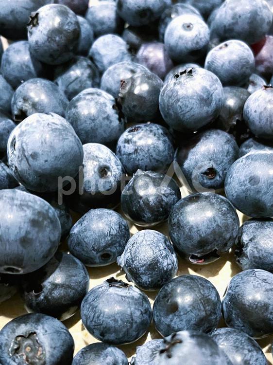 収穫したてのブルーベリーの果実８４ ブルーベリー,実,果実の写真素材