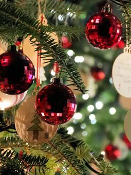 はままつフラワーパーク　イルミネーション イルミネーション,クリスマス,夜景の写真素材