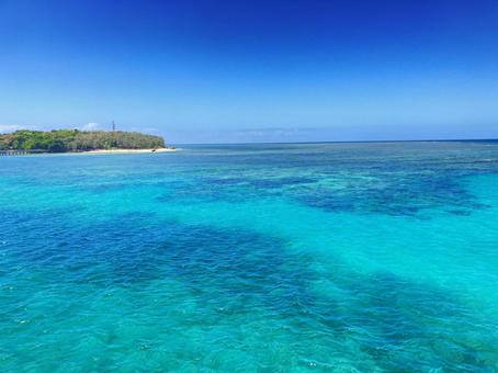 グリーン島 グリーン島の写真
