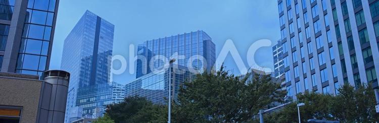 オフィス街　バナー素材 木,緑,自然の写真素材