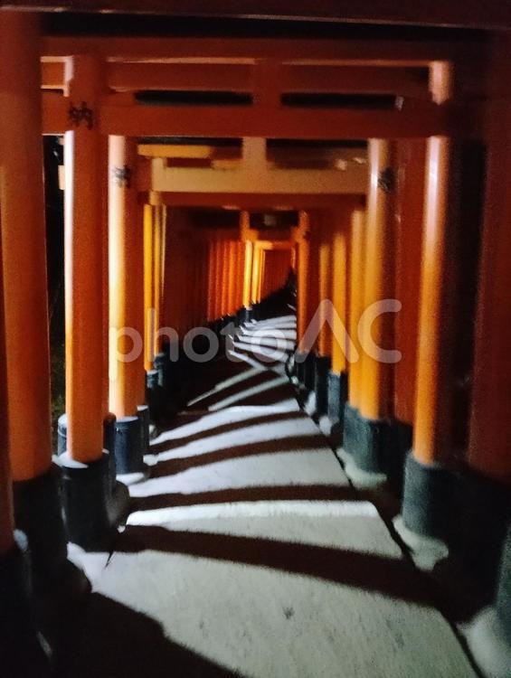 夜の伏見稲荷大社の鳥居 鳥居,夜,伏見稲荷大社の写真素材