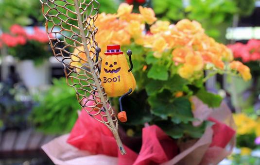ハロウィン素材・小物飾り ハロウィン素材・小物飾り ハロウィン,小物,飾りの写真素材