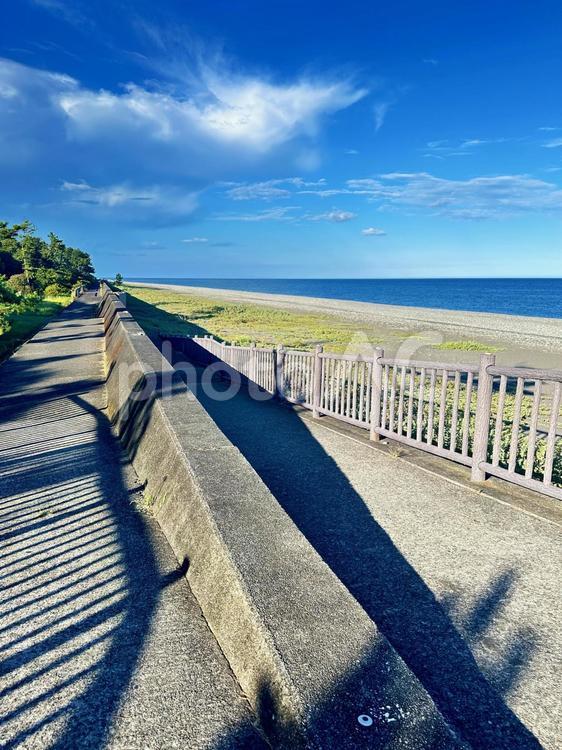 海岸沿い　海　晴れ 海,海岸線,空の写真素材