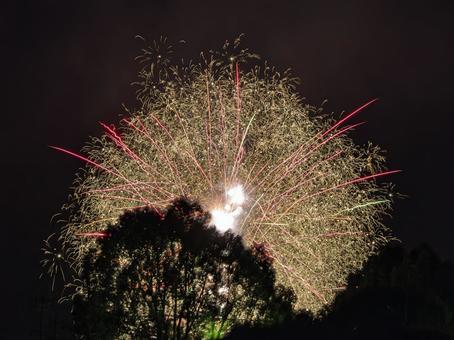 木立を照らす大輪の花火 木立を照らす大輪の花火の写真