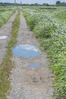 農道の水たまり 農道の水たまりの写真