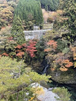晩秋の田舎 風景,レトロ,ノスタルジーの写真素材