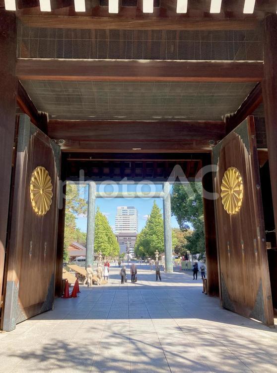 東京風景・靖国神社 靖国神社,靖国,神社の写真素材