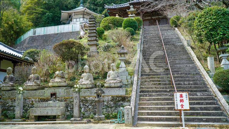 69番札所 観音寺　薬師堂 薬師堂,階段,仏像の写真素材