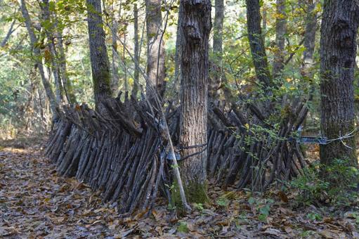 里の秋１ 風景,秋,里山の写真素材