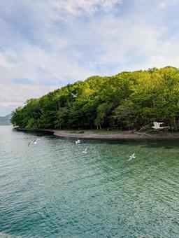 北海道 洞爺湖の風景 北海道 洞爺湖の風景 北海道,北海道旅行,洞爺湖の写真素材
