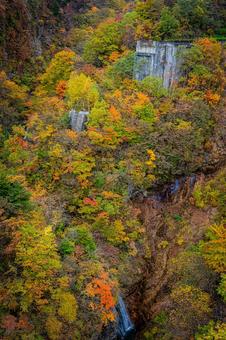 福島県　磐梯吾妻スカイラインの風景 磐梯吾妻スカイライン,福島,福島県の写真素材