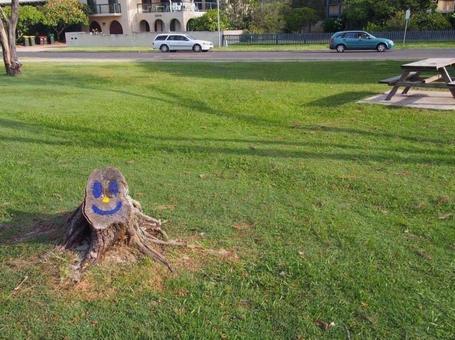 可愛い木 オーストラリア,バイロンベイ,クラークスビーチの写真素材