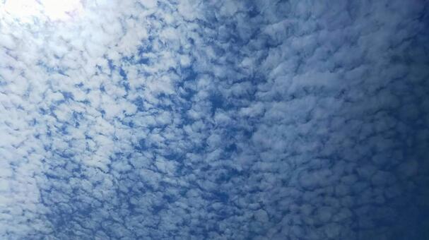 うろこ雲 うろこ雲の写真