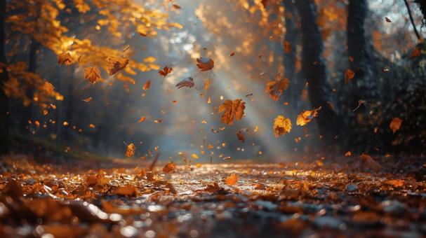 秋風に舞う紅葉の小径 秋風に舞う紅葉の小径の写真