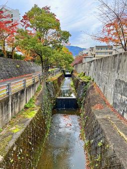 秋の用水路の写真