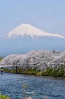 龍巌淵の桜と富士山 龍巌淵の桜と富士山の写真
