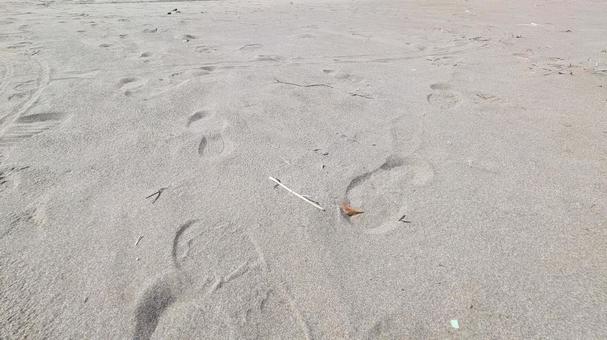 誰もいない砂浜、静かな足跡 誰もいない砂浜、静かな足跡 砂浜,砂,足跡の写真素材