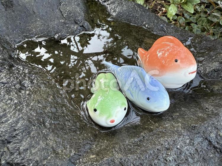 魚の置き物 オブジェ,人形,魚の写真素材