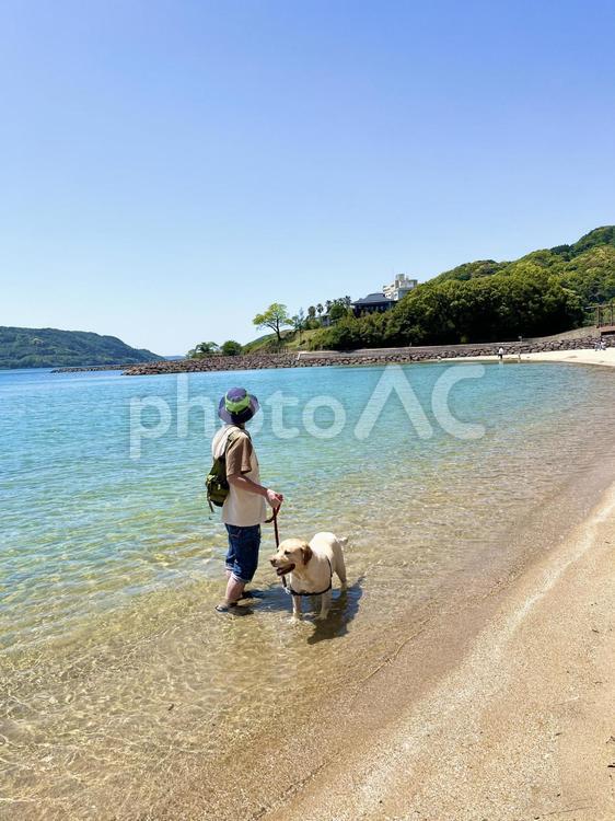 海わんぽ 風景,自然,美しいの写真素材